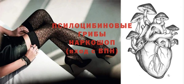 прущие грибы Абаза