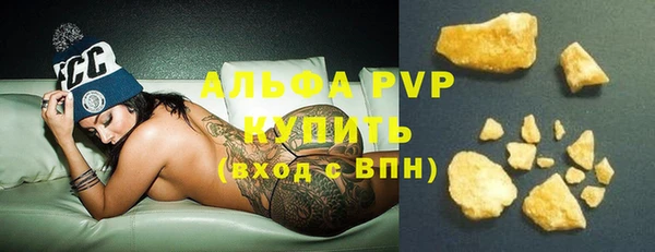 прущие грибы Абаза