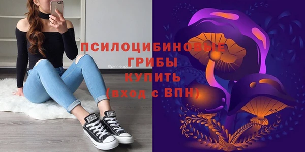 дурь Алексеевка