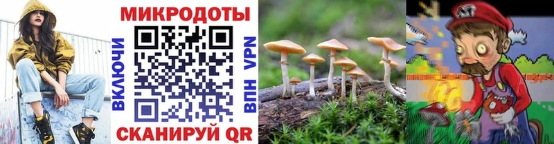 Галлюциногенные грибы прущие грибы Ишимбай