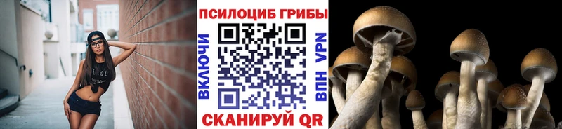 Галлюциногенные грибы Psilocybine cubensis наркота Ишимбай